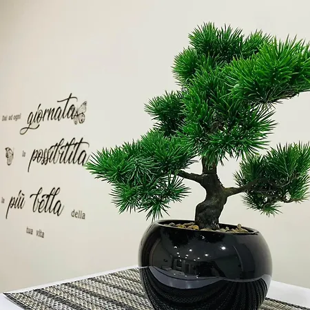 Apartment Horus Torre del Greco